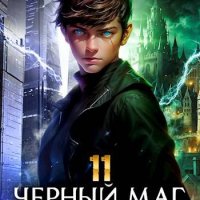 Александр Герда Черный Маг Императора. Книга 11