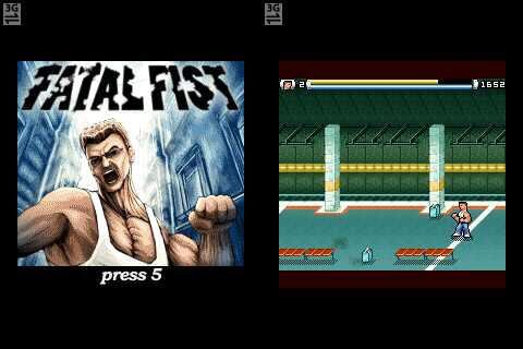 Fatal Fist SE 128x160