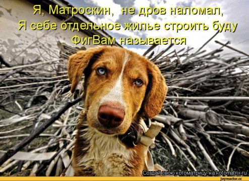 ФигВам называется