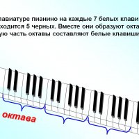 Презентация 10