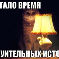 котэ-песочница-149488