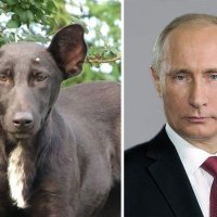 3-vladimir-putin